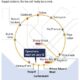 Singapore Circle Line Stage 6 map showing the new Keppel, Cantonment and Prince Edward Road MRT stations.